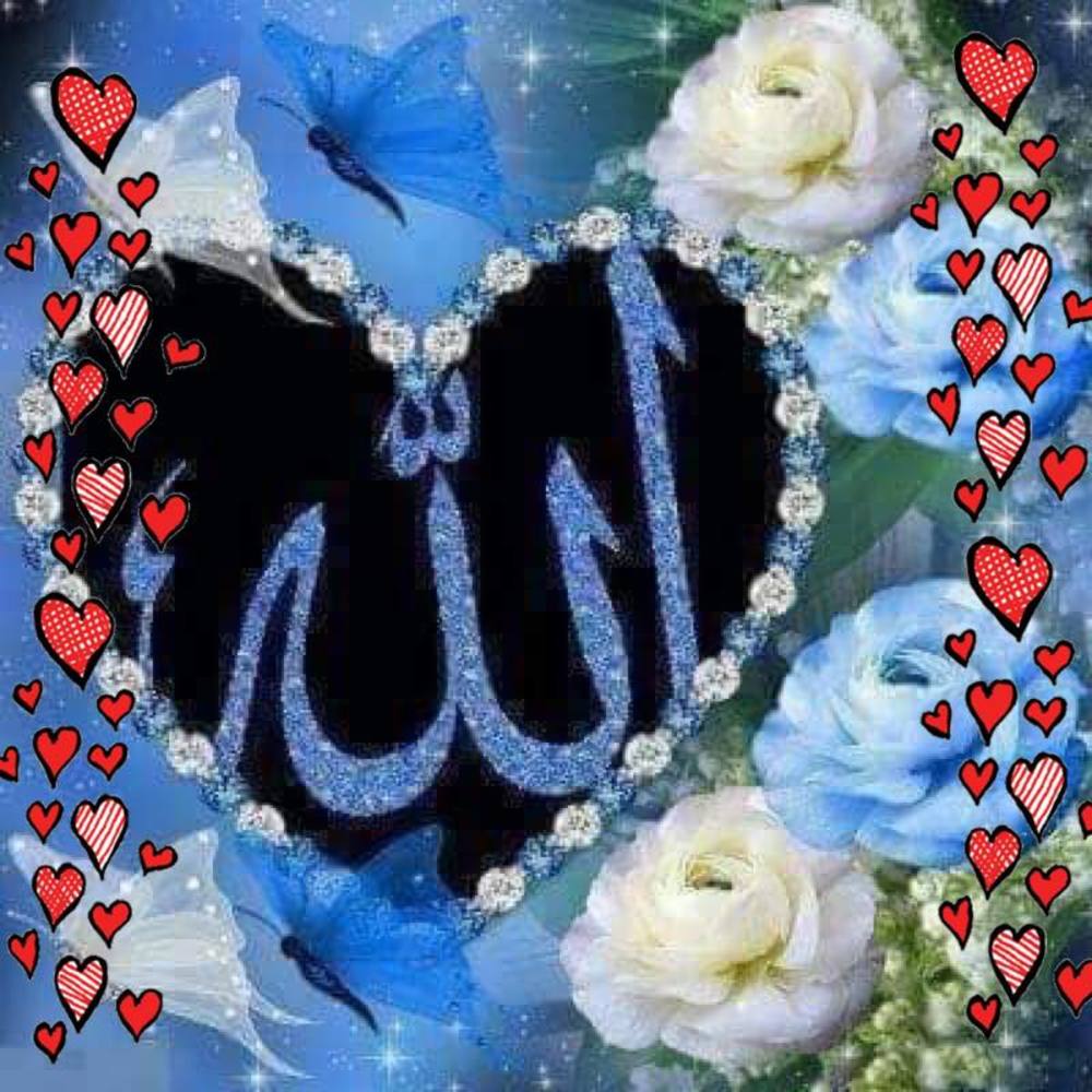 Meet your Posher, Shakir